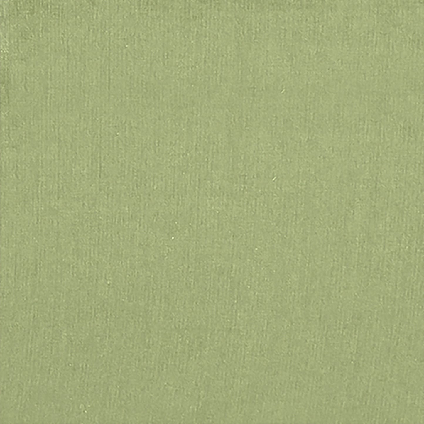 Quinn 3 Seater Sofa cum Bed- Light Green