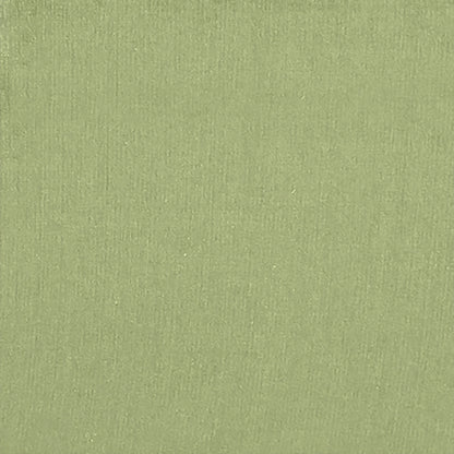 Quinn 3 Seater Sofa cum Bed- Light Green