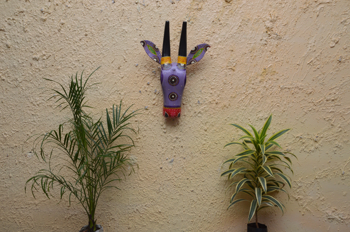 Zahra - Solid Wood Cow Face Wall Art - Multi Colour Paint Finish