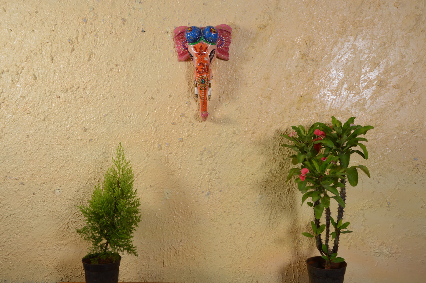 Zainab - Solid Wood Elephant Face Wall Art - Multi Colour Paint Finish